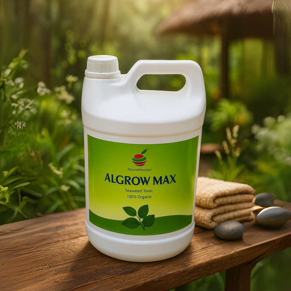 Algro Max Big